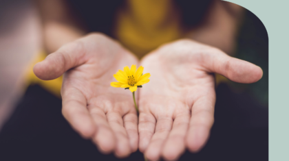 Palliatief forfait